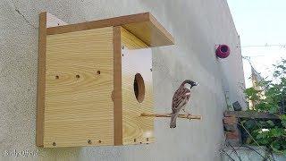 Bird Nesting Box | How To Build A Bird House Out Of plywood At Home