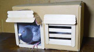 how to make simple pigeon house from cardboard