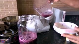 How to Make Wine   Revealed in Less Than 5 Minutes   Learn Fast   Easy Wine