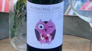 The Truth About Aldi's Winking Owl Wine