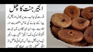 anjeer benefits in hindi, figs health benefits, figs health benefits weight loss, News Tv