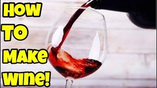 How To Make Wine From Grape Juice At Home!