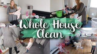 WHOLE HOUSE CLEAN BEFORE GUESTS/ VISITORS - DEEP CLEAN MY LIVING ROOM, HALLWAY, ETC. LOTTE ROACH