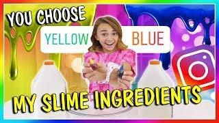 INSTAGRAM FOLLOWERS MAKE MY SLIME | DID WE FAIL? | We Are The Davises