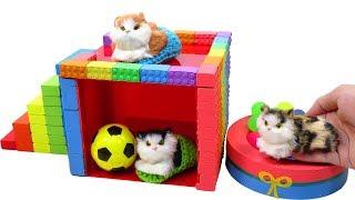 How To Make Kinetic Sand House for Kittens Toys Learn Colors Nursery Rhymes for Children