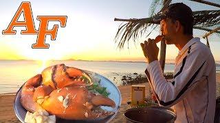 Delicious Mud Crab in White wine & Garlic Sauce Recipe Catch and Cook kepiting lumpur EP.410