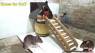 House for Rat - How to Make a Wood House for Rat - Rat In House
