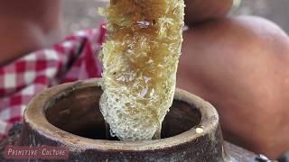 Primitive Culture: Traditional Wine Making from Honey