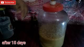 Banana healthy Wine Make at home Part 2 no chemical केलों से वाईन बनाये धर पर Desi Daru Shrab