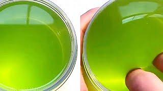 ASMR EDITION - HOW TO MAKE SLIME WITHOUT GLUE, WITHOUT BORAX! NO GLUE , NO BORAX RECIPE! EASY SLIME!