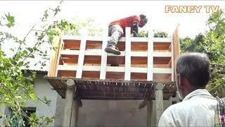 How to set up new pigeons loft | Roller pigeon Breeding loft