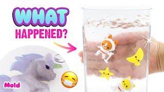 DIY JELLY TEST with Slime, Hand Gel, Orbeez and MORE!!! Satisfying Toy Update, Turned MOLDY! EW