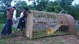 Build Rabbit House Using Bamboo & Mud