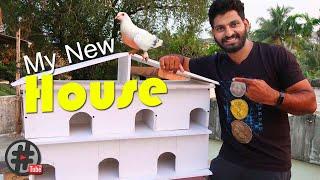 My new pigeon House | എന്റെ പുതിയ പ്രാവിന് കൂട് | How to make a pigeon loft or house |