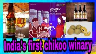 The first chikoo winery in India || chikoo winery || chikoo wine Mumbai || part 1
