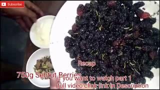 Wine of Sehtuat Berries part 2 Make at home शहतूत की वाईन भाग 2 Indian tree Desi Daru Shrab
