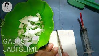 Mantul !!!!!!
Cara membuat slime 2 bahan
