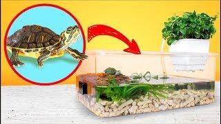 Simple and Cheap Red Eared Turtle Terrarium Tank DIY