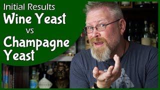 Wine Yeast vs Champagne Yeast - Initial Results!