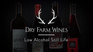The Making of Dry Farm Wines Low Alcohol Still Life