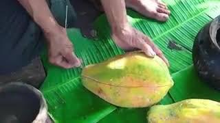 Take Moments - Wine Making from Papaya