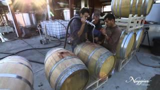 Vine to Wine, Winemaking at Naggiar Vineyards
