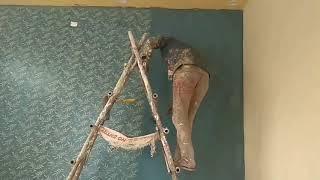 Dulux wall texture spring pattern Asian paints design Royale Play PG5