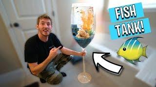 WE BOUGHT ALL THE GOLDFISH FROM WALMART!