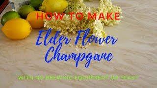 Elderflower champagne no yeast or brewing equipment.