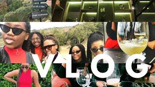 VLOG | WINE TASTING IN CONSTANTIA CPT & BRUNCH | Everything Vee