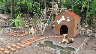 Build dog house and Build mini swimming pool for dog
