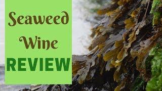 Wine made from seaweed? Taste test and review!