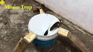 Best Mouse Trap 2019/Easy Saving A Rat With PVC Mouse Trap Homemade/Mouse Trap In Action
