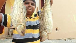 Amazing Fish Cooking Fish Curry | Delicious Fish Recipe | indian village food