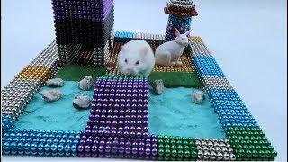 DIY - How To Make House Hamster with 10000 Magnetic Balls Satisfaction 100% (ASMR) | Magnetic Toy