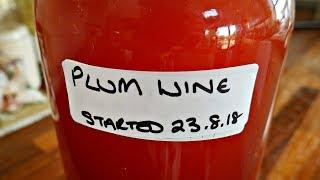 Plum Wine. How I Make Plum Wine And Other Country Wines