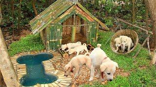 Build Mini Swimming Pool For Dogs And Build Bamboo Dogs House