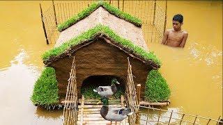 Building Mini House For Ducks In The Pond, How To Build Ducks House