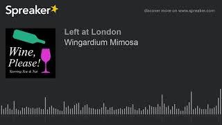 WINE, PLEASE! Episode 4 - Wingardium Mimosa