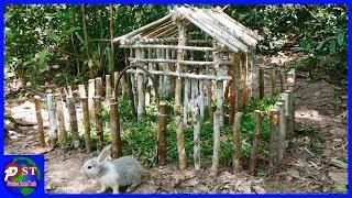 Build Rabbit House Using Wild and Grass