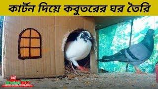 How To Make A Pigeon House Using A Carton | Pigeon House | Pigeons | ExistBD
