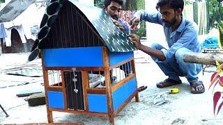 Easy to Make Your Fancy Pigeon Coop | Build Dove Birds House