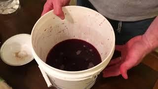 Making Cherry Wine - Phase 1