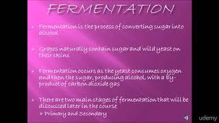 Making Homemade Wine: A Step-by-Step Guide! : Fermentation