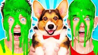 Dogs Pick our Mystery Slime Challenge 2 & How to Make the Best Funny DIY Orbeez Switch Up Game