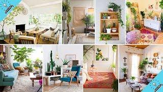 100 indoor house plant ideas to make your home look lovely | Garden Ideas