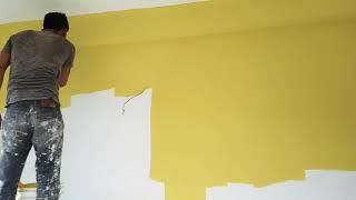 Color on wall,italian olive
