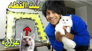 صنعة بيت للبزونه ( للقطه) بـ أدوات بسيطه Make a house for cats | مصطفى ستار