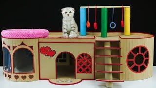 How to Build a Wonderful English House for Little Kitten