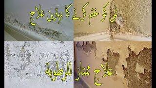 how to treat damp walls before painting//wall painting techniques/paint master junaid